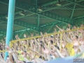 IMG_4480_wynikgksfcb wybrane