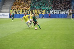 IMG_8517