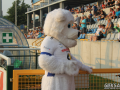 IMG_9987 1_wynik
