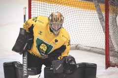 IMG_0037