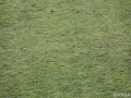 image018
