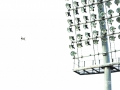 image101