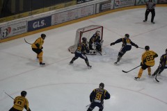 IMG_3930