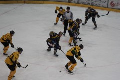 IMG_3976