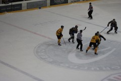 IMG_3979