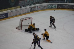 IMG_3980
