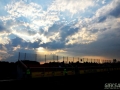 DSC_3000 (16)