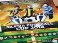 2014-09-28_Silesia_Football_Cup (136)
