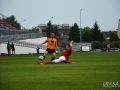 DSC_0175.JPG
