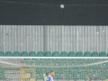 IMG_7334_wynikpulawy wybrane