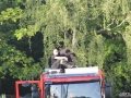 IMG_7251_wyniksiedlce wybrane