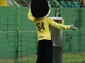 41