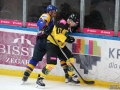 104-IMG_6390