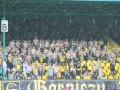 19n