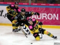 1-IMG_5755
