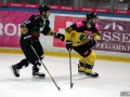 1-IMG_5804