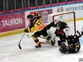 1-IMG_5847