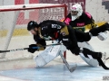 1-IMG_5919