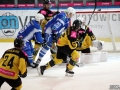 065-IMG_7304