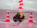 027-IMG_7446
