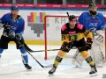 100-IMG_7579