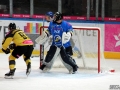 143-IMG_7641