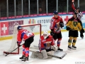 100-IMG_7882