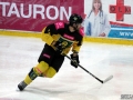 033-IMG_8051