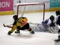 154-IMG_8250