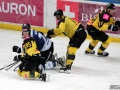 160-IMG_8261