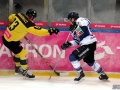 162-IMG_8265