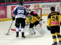 204-IMG_8332
