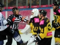 205-IMG_8333