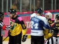 206-IMG_8334