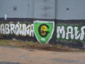 13 (Copy)