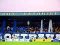 DSC_1951