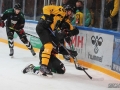 IMG_2136