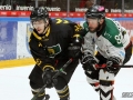 IMG_7968