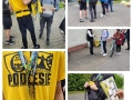 podlesie