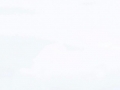 _MGL1425 (Copy)