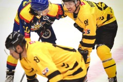 IMG_0228-1