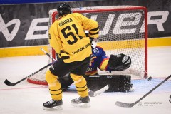 IMG_0239-2