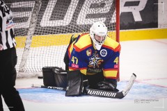 IMG_0435-2