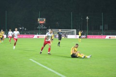 IMG_0242