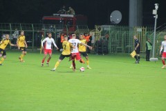 IMG_0320