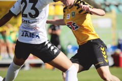 IMG_0171-2