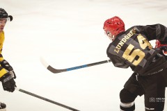 IMG_0268-1