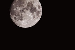 IMG_0194-4
