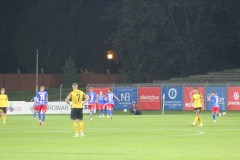 IMG_1042