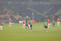 IMG_4534